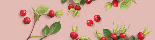 Las 10 propiedades de la rosa de mosqueta que harán que nunca quieras dejarla - Cosmética Vicorva