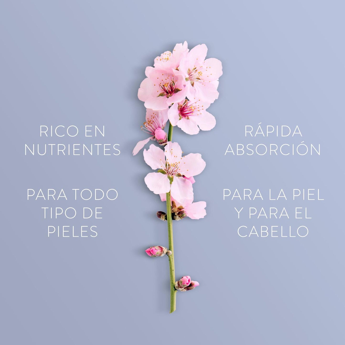 Aceite de Almendras Dulces 100% Puro - 250 ml - Cosmética Vicorva