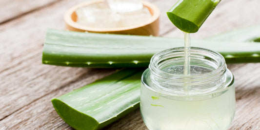 Beneficios del aloe vera en cosmética