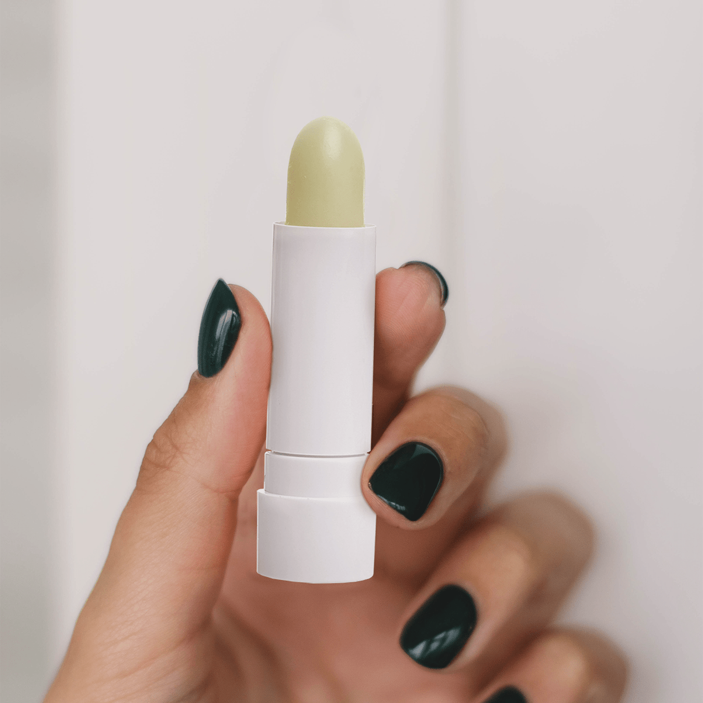Bálsamo Labial Aloe FPS - 4 gr - Cosmética Vicorva