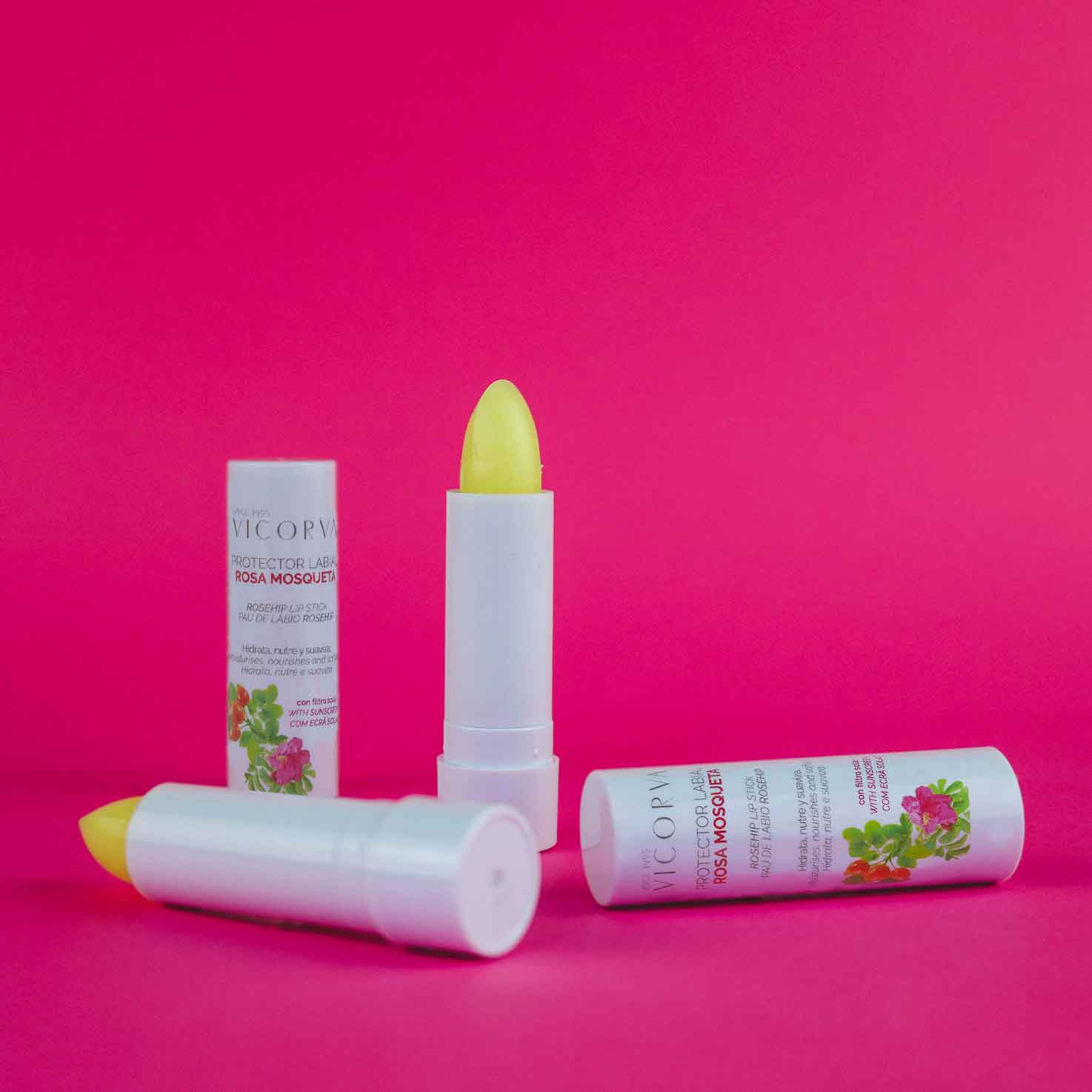 Bálsamo Labial Rosa Mosqueta FPS - 4 gr - Cosmética Vicorva